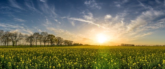 El camino 30sl - jak działa i dlaczego warto go stosować w sezonie